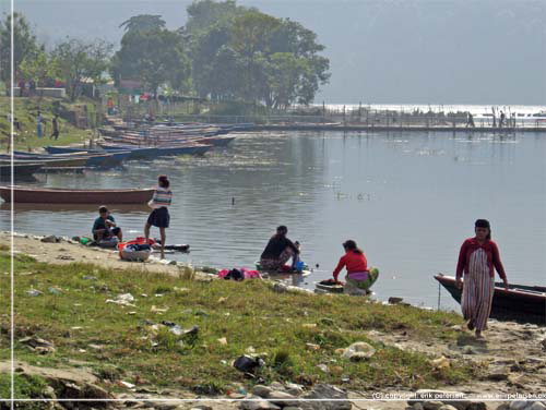 Nepal. Phewa Lake. Pokhara. Kvinder vasker tj i sen